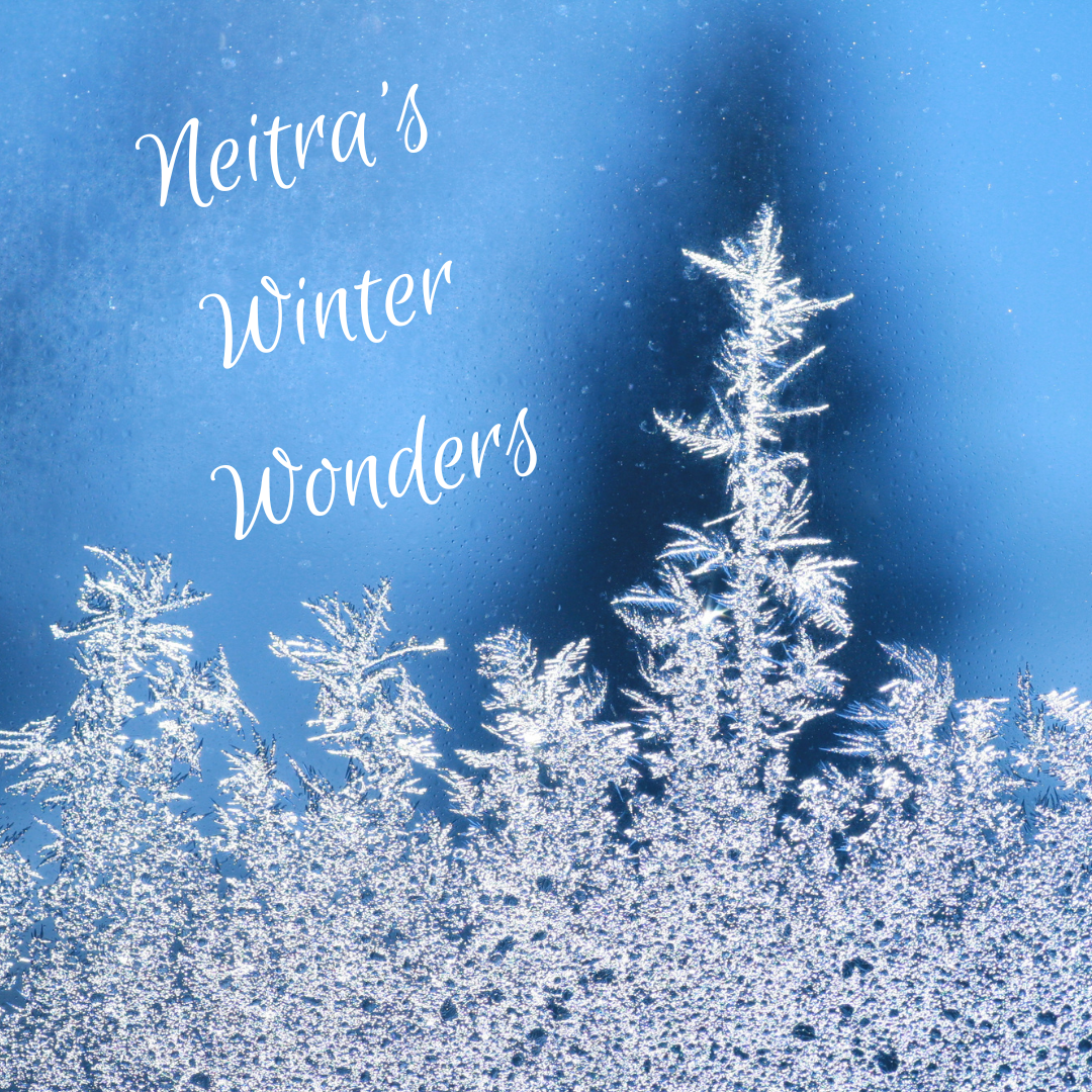 Winter Wonders